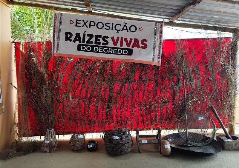 Cenário da exposição Raízes Vivas do Degredo